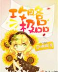 攻略极品