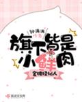 金牌经纪人攻略