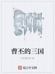 曹丕的三国