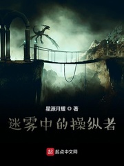 迷雾中的操纵者