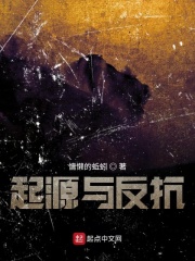 起源与反抗